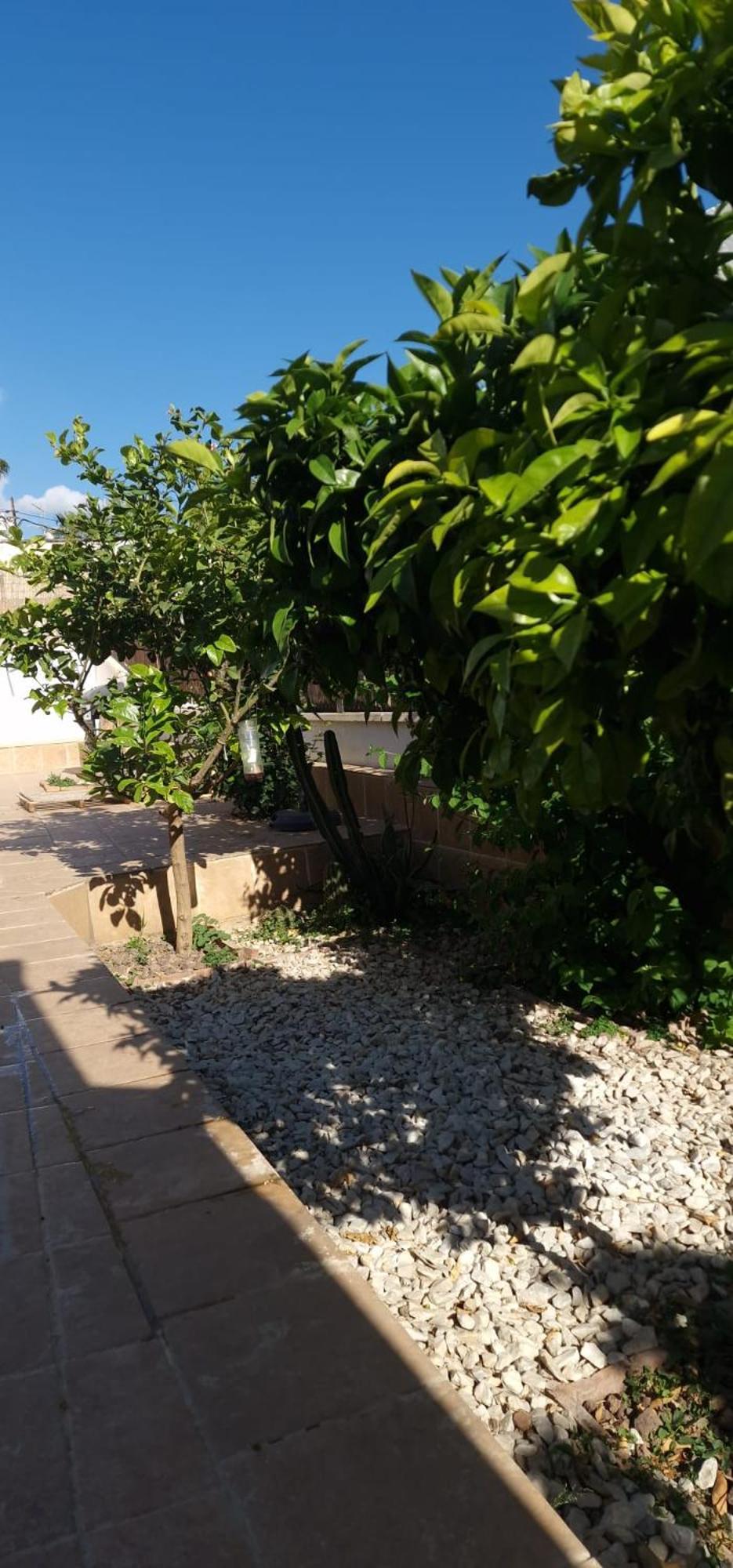 Ferienwohnung Maestranza Berja Exterior foto